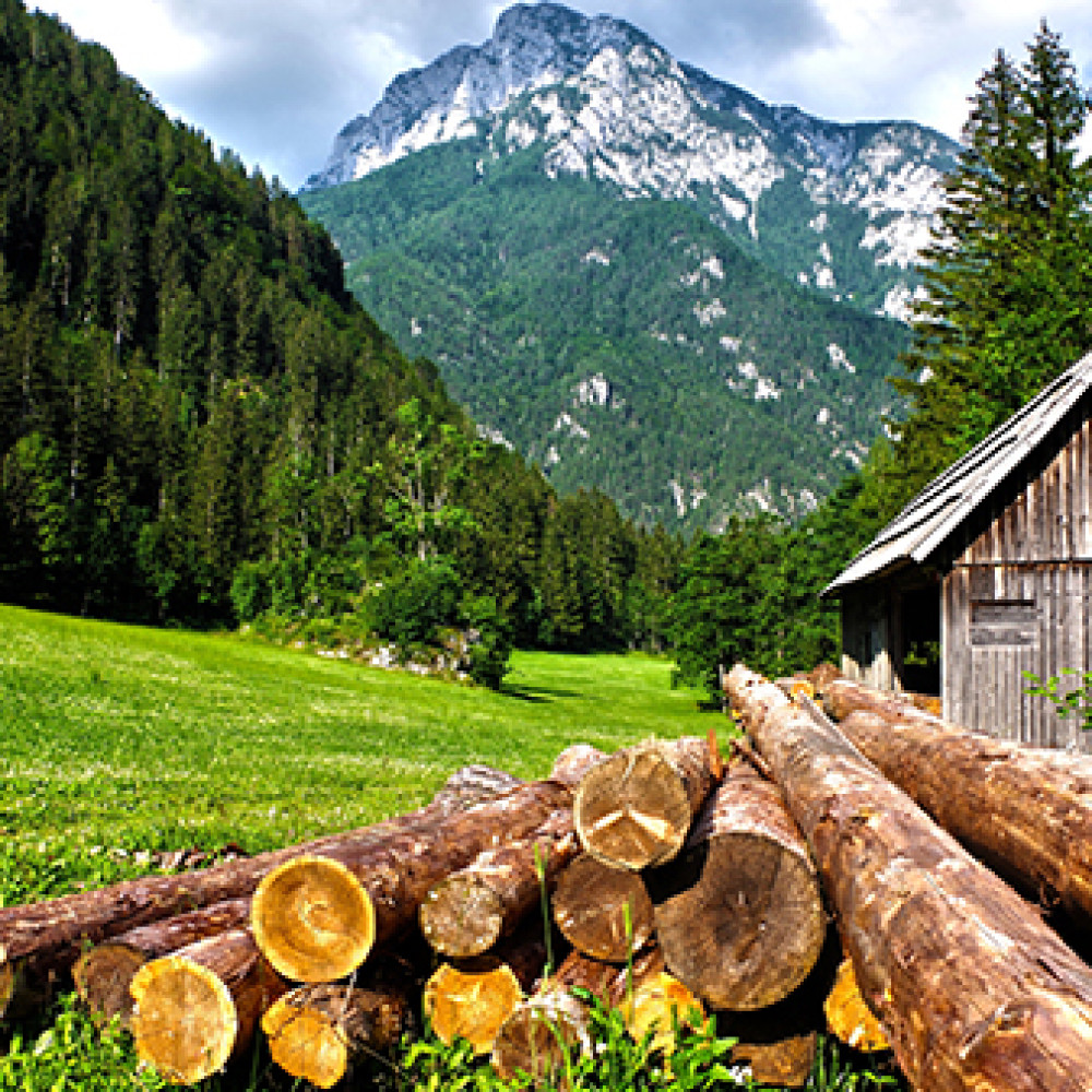 Discover how Abdulhamid’s policies